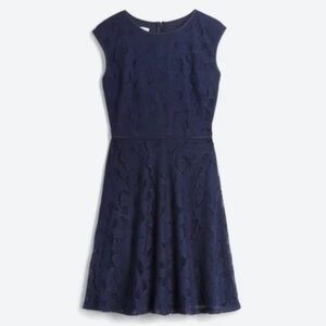 Navy lace knit dress